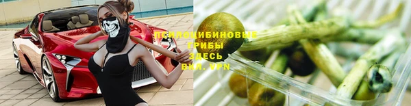 ешки Зеленодольск