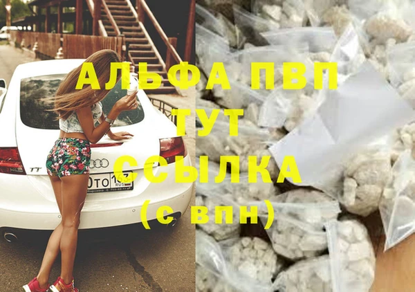 мяу мяу мука Зеленокумск
