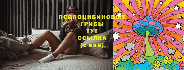ешки Зеленодольск