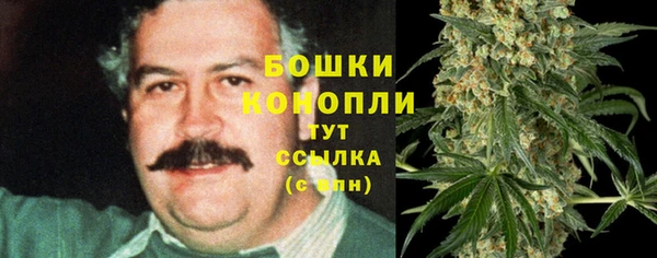 ешки Зеленодольск
