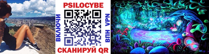Псилоцибиновые грибы мухоморы  Купить  Ноябрьск 